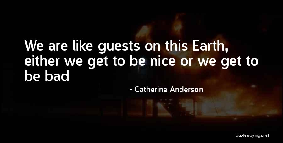 Story Like Quotes By Catherine Anderson