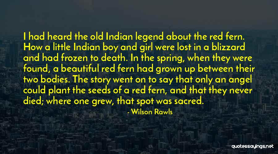 Story Of Beautiful Girl Quotes By Wilson Rawls