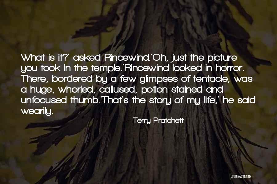 Story Of Life Quotes By Terry Pratchett