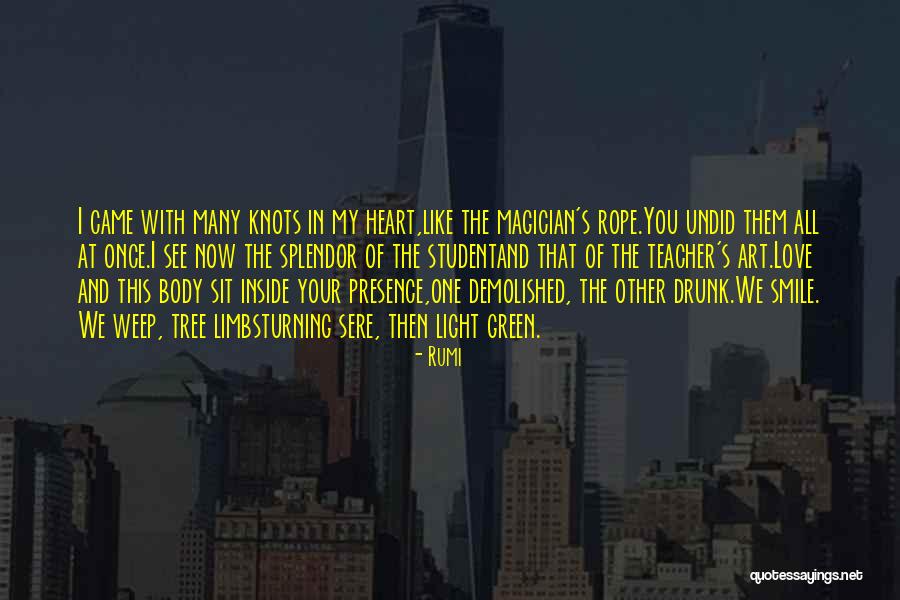 Story Of Philosphy Quotes By Rumi Story Of Philosphy Quotes By Rumi