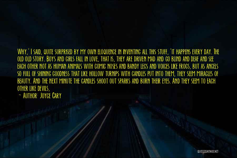 Story Of Stuff Quotes By Joyce Cary