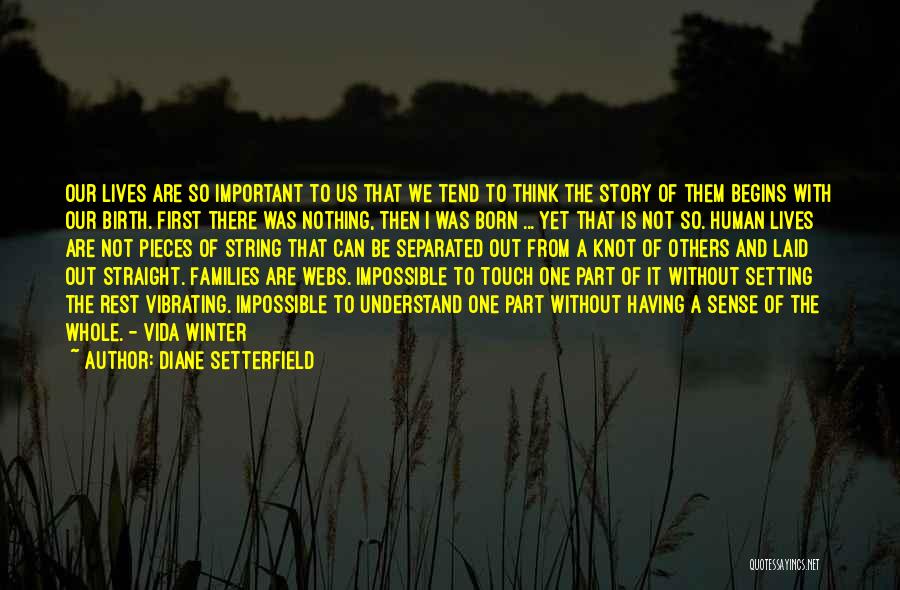 Story Of Us Quotes By Diane Setterfield