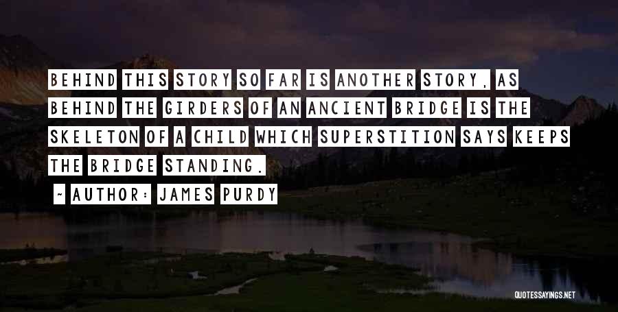 Story So Far Quotes By James Purdy