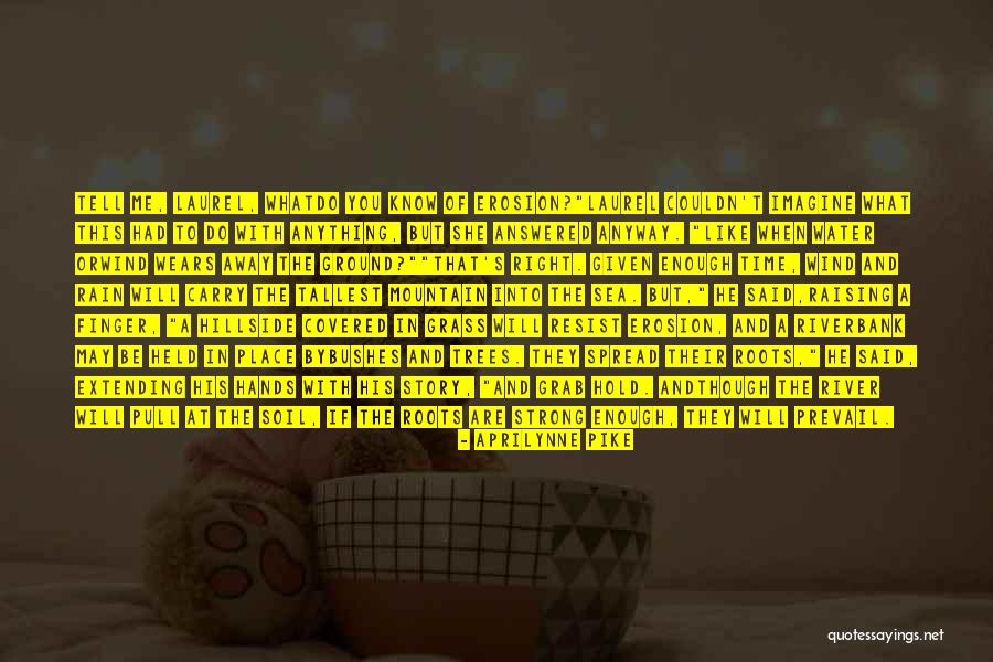 Story That May Hold Quotes By Aprilynne Pike Story That May Hold Quotes By Aprilynne Pike