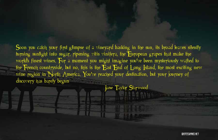 Storyteller Ideas Quotes By Jane Taylor Starwood Storyteller Ideas Quotes By Jane Taylor Starwood