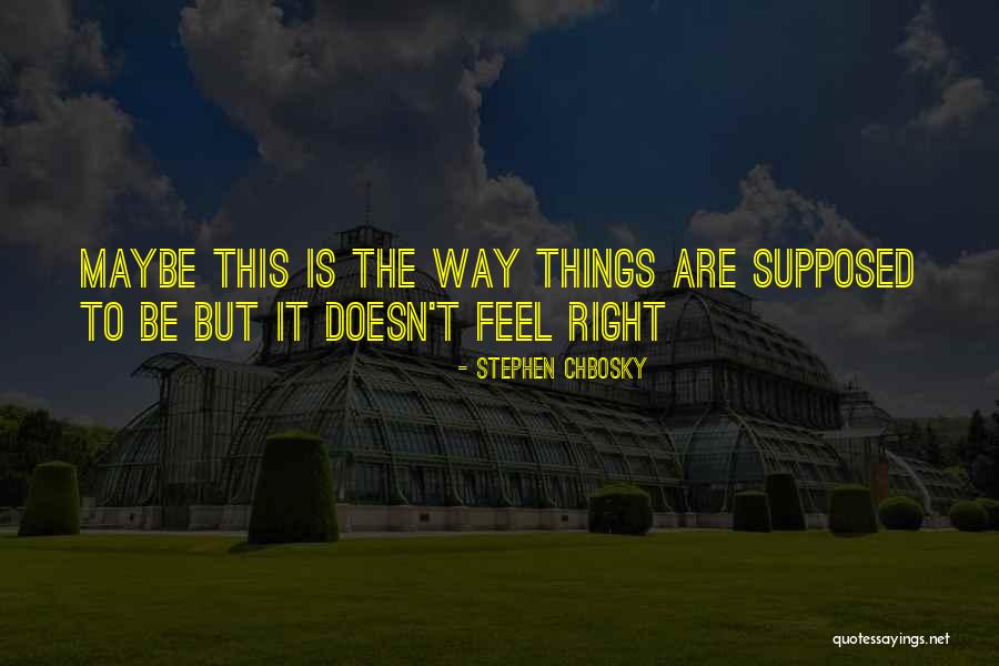 Stotan Falls Quotes By Stephen Chbosky Stotan Falls Quotes By Stephen Chbosky