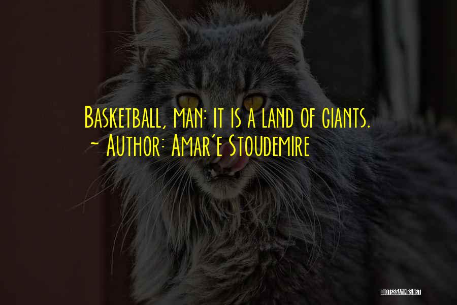 Stoudemire Quotes By Amar'e Stoudemire