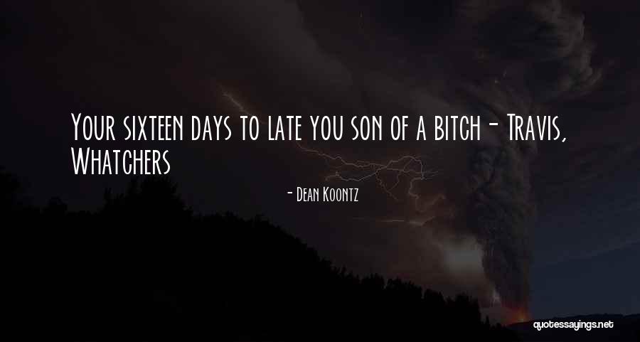 Stoudenmire Dowling Quotes By Dean Koontz