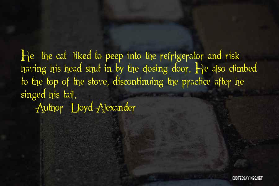 Stove Quotes By Lloyd Alexander