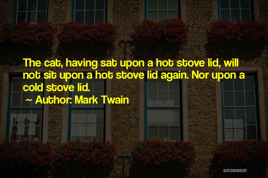 Stove Quotes By Mark Twain