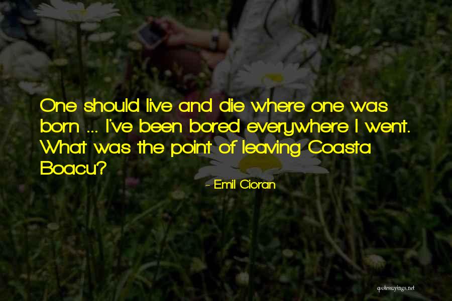 Stovern Supply Quotes By Emil Cioran Stovern Supply Quotes By Emil Cioran