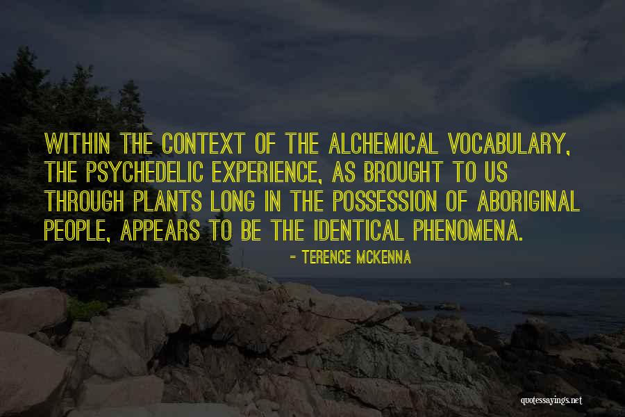 Stovetops For Small Quotes By Terence McKenna Stovetops For Small Quotes By Terence McKenna