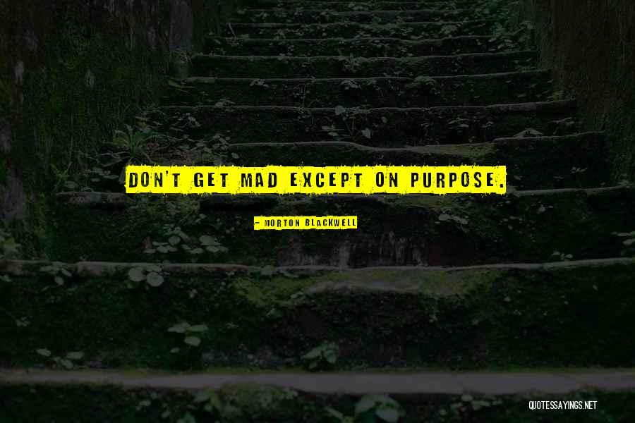Str Lkastare Quotes By Morton Blackwell