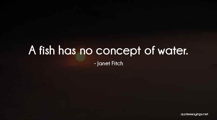 Str Uecky Quotes By Janet Fitch Str Uecky Quotes By Janet Fitch