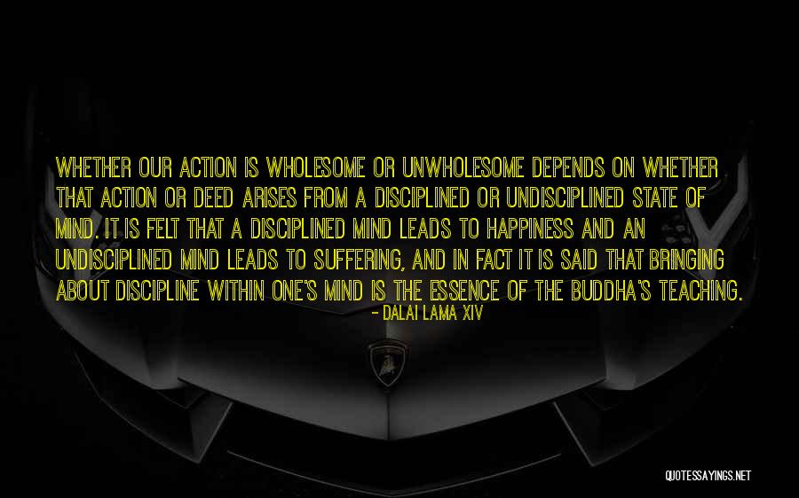 Stracener And Neely Quotes By Dalai Lama XIV Stracener And Neely Quotes By Dalai Lama XIV