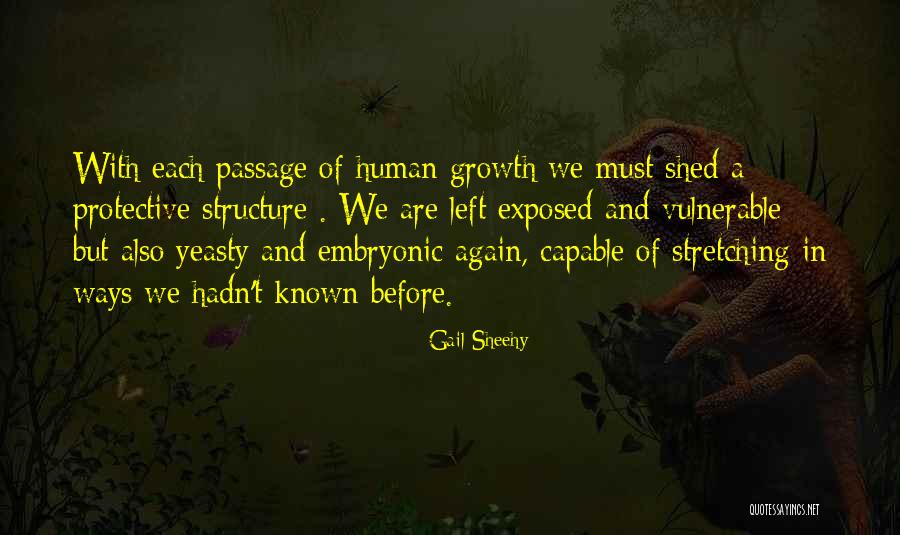 Stracey Hotel Quotes By Gail Sheehy Stracey Hotel Quotes By Gail Sheehy