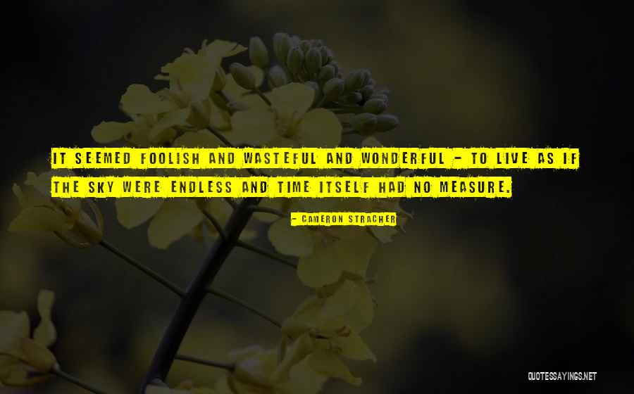 Stracher Quotes By Cameron Stracher Stracher Quotes By Cameron Stracher