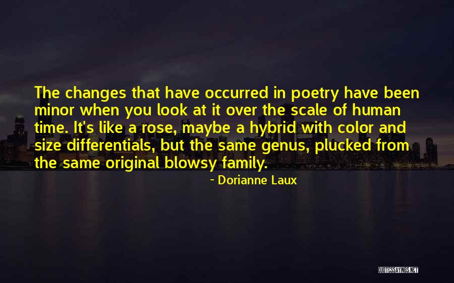 Stracotto Di Quotes By Dorianne Laux Stracotto Di Quotes By Dorianne Laux