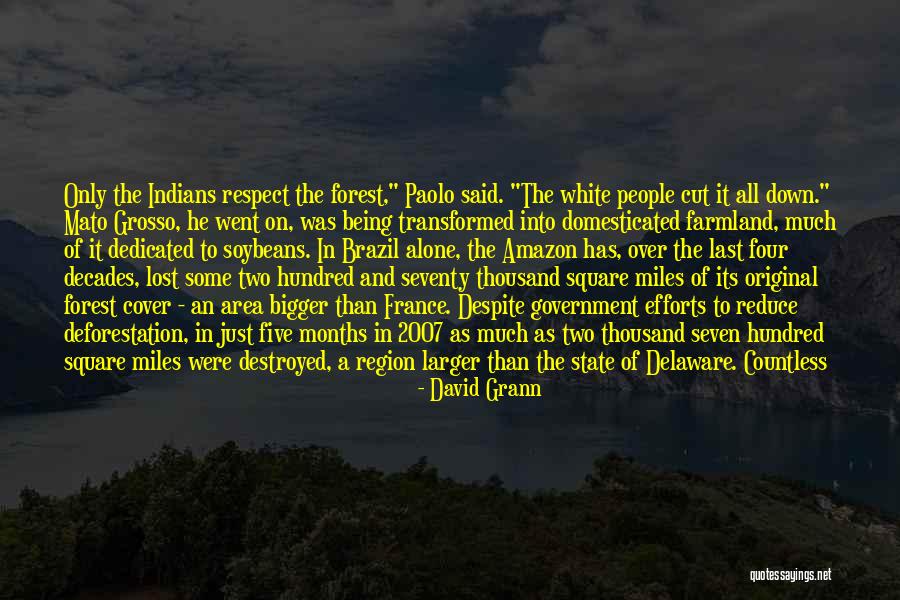 Stradui Dex Quotes By David Grann Stradui Dex Quotes By David Grann