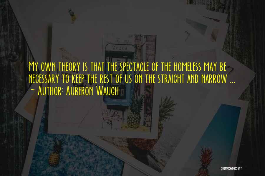 Straight And Narrow Quotes By Auberon Waugh