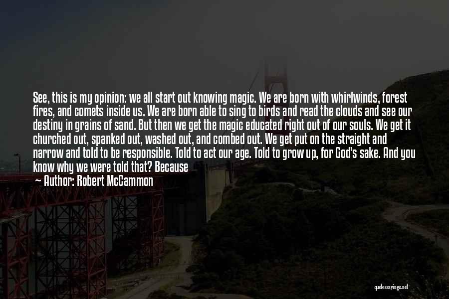 Straight And Narrow Quotes By Robert McCammon