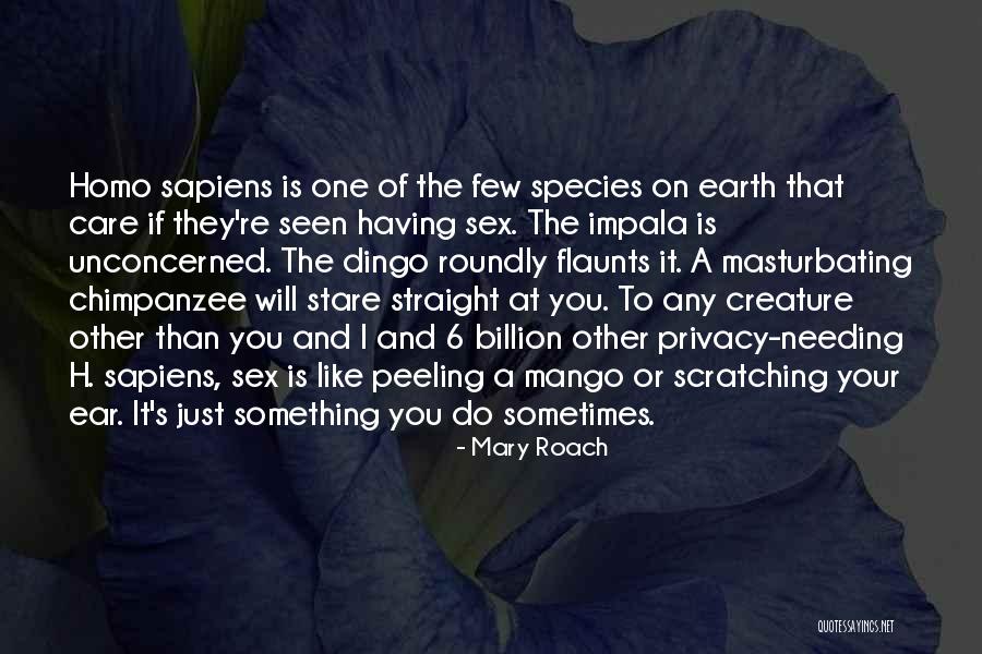 Straight Like That Quotes By Mary Roach Straight Like That Quotes By Mary Roach
