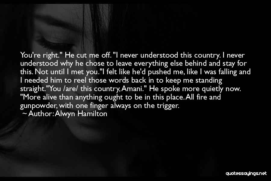 Straight On Quotes By Alwyn Hamilton