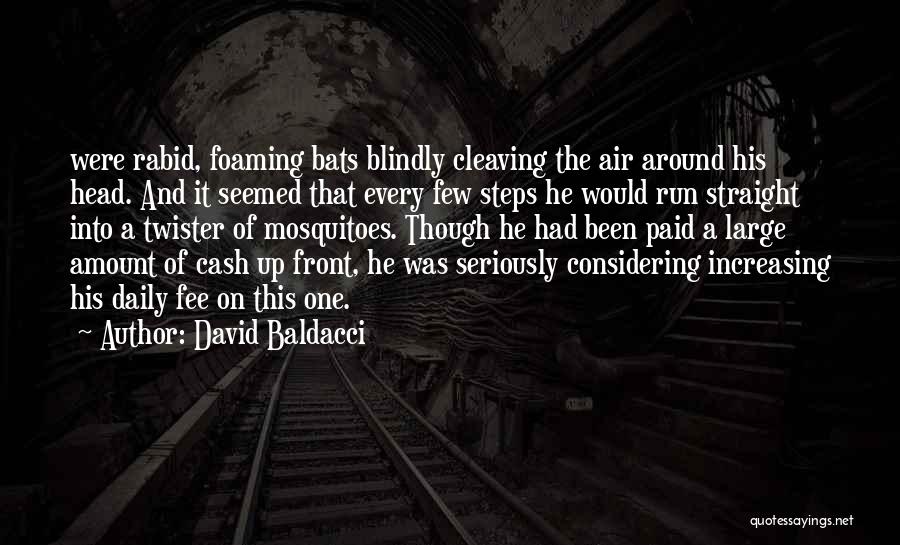 Straight On Quotes By David Baldacci