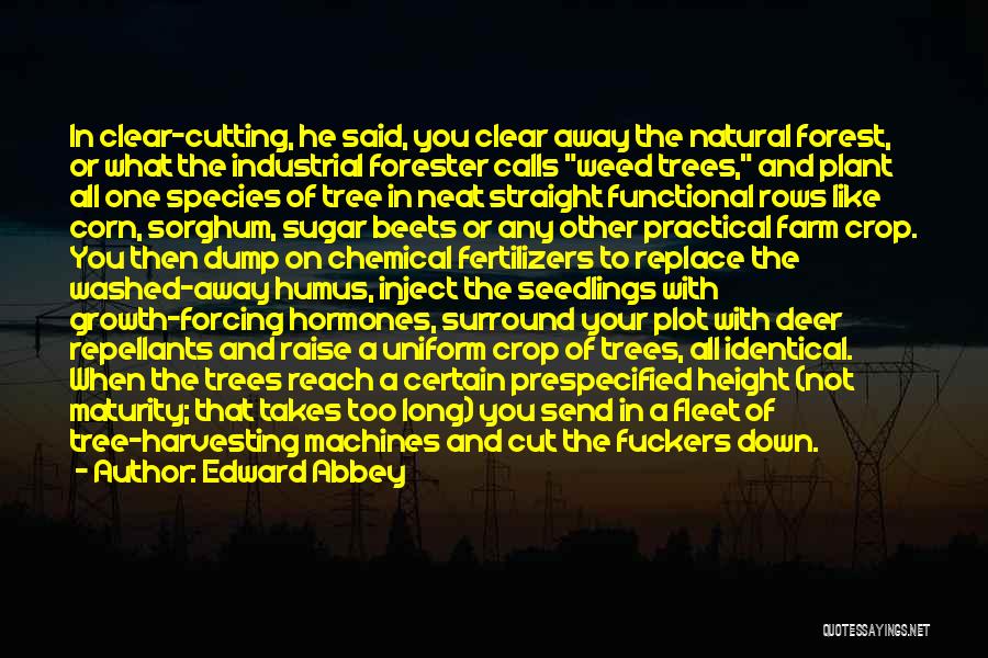 Straight On Quotes By Edward Abbey