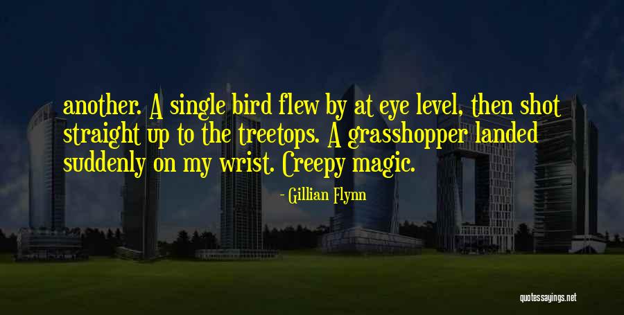 Straight Shot Quotes By Gillian Flynn Straight Shot Quotes By Gillian Flynn