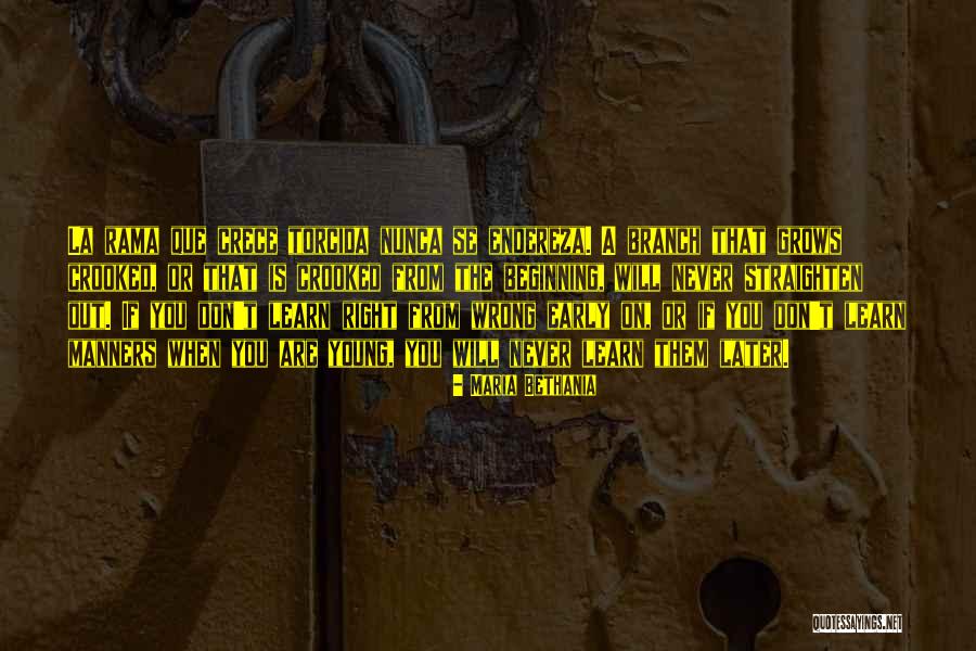 Straighten Quotes By Maria Bethania Straighten Quotes By Maria Bethania