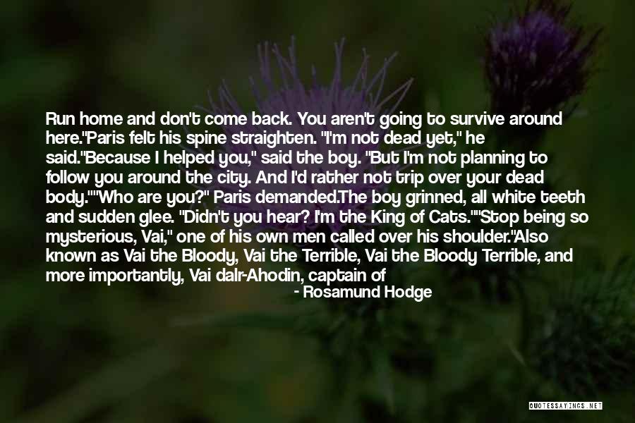 Straighten Quotes By Rosamund Hodge Straighten Quotes By Rosamund Hodge
