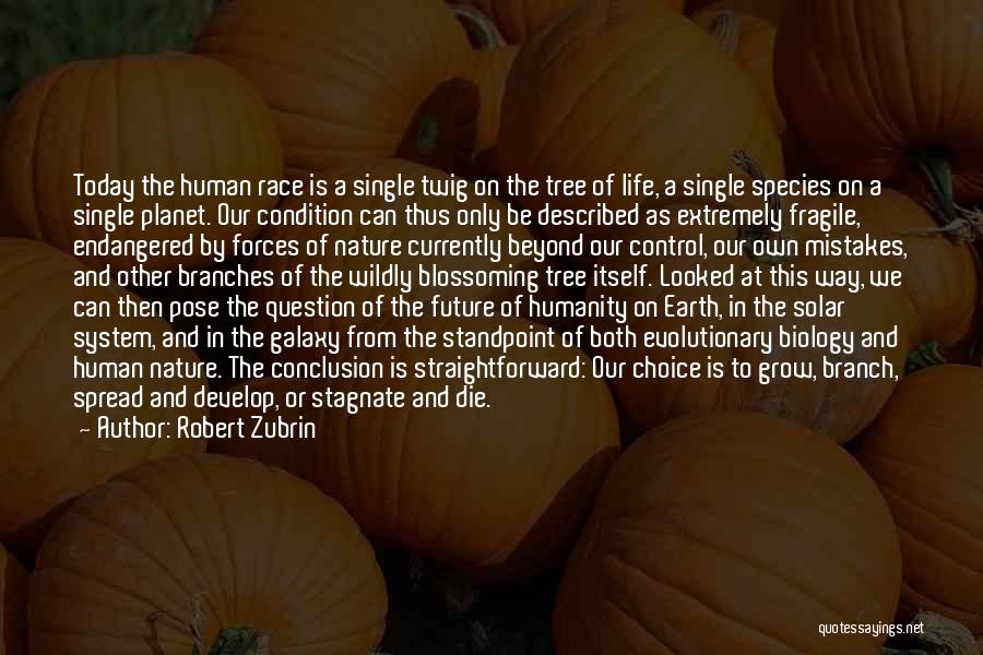 Straightforward Nature Quotes By Robert Zubrin