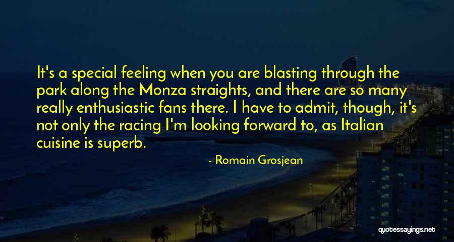Straights Quotes By Romain Grosjean