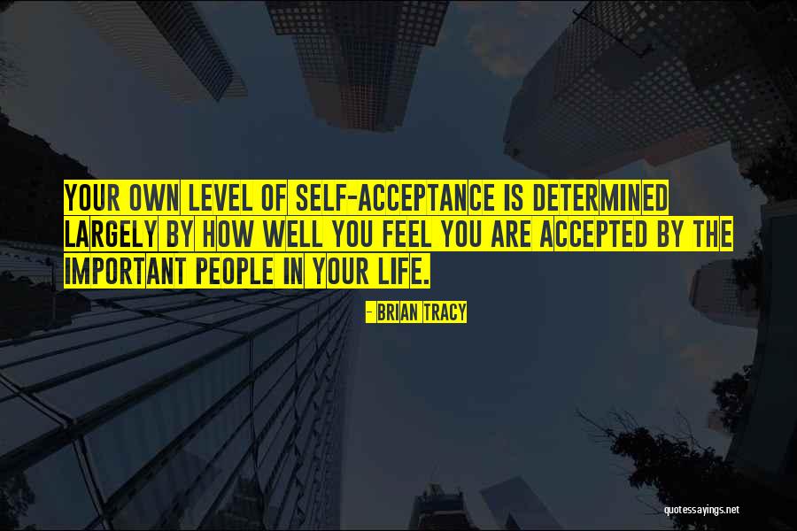 Straitlaced Or Straight Laced Quotes By Brian Tracy Straitlaced Or Straight Laced Quotes By Brian Tracy
