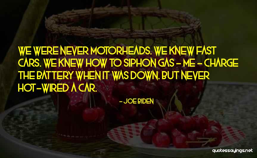 Strandbygaard Quotes By Joe Biden Strandbygaard Quotes By Joe Biden