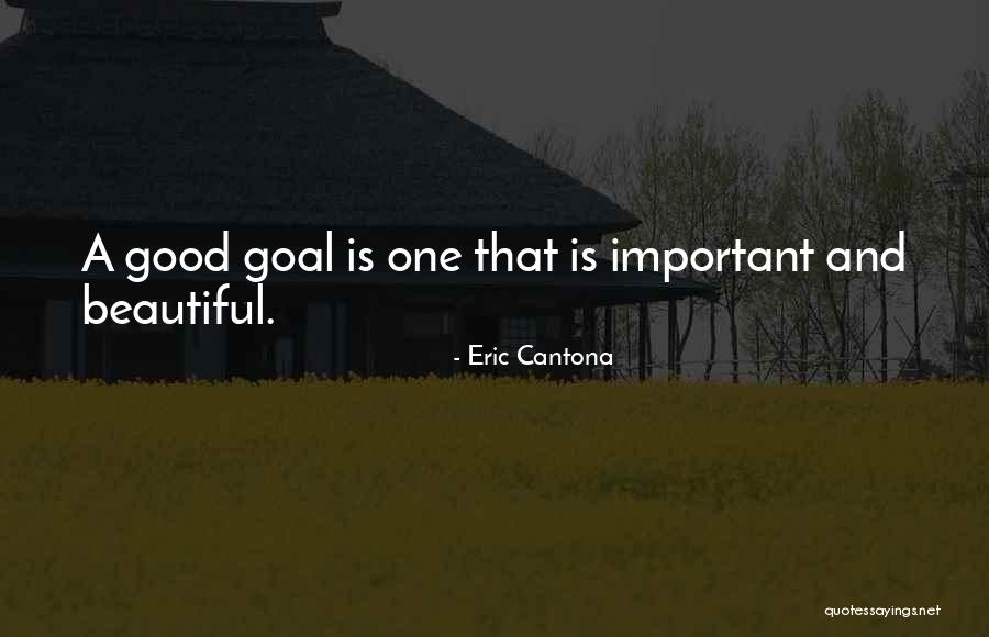 Stranded Astronaut Quotes By Eric Cantona Stranded Astronaut Quotes By Eric Cantona