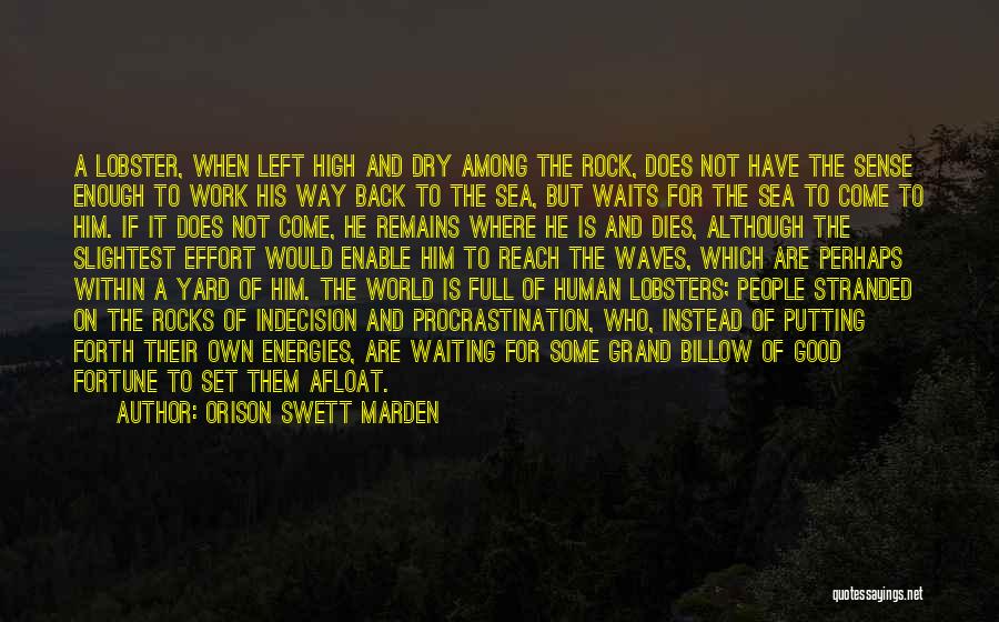 Stranded At Sea Quotes By Orison Swett Marden
