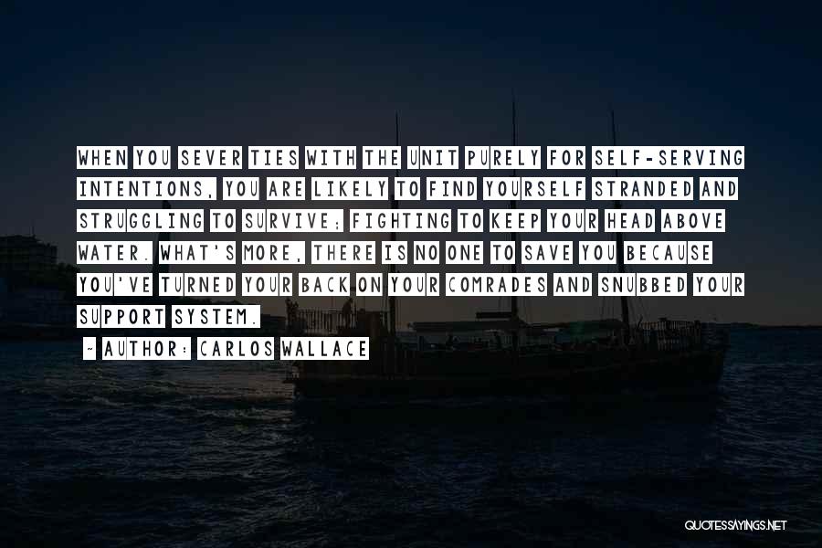 Stranded Quotes By Carlos Wallace