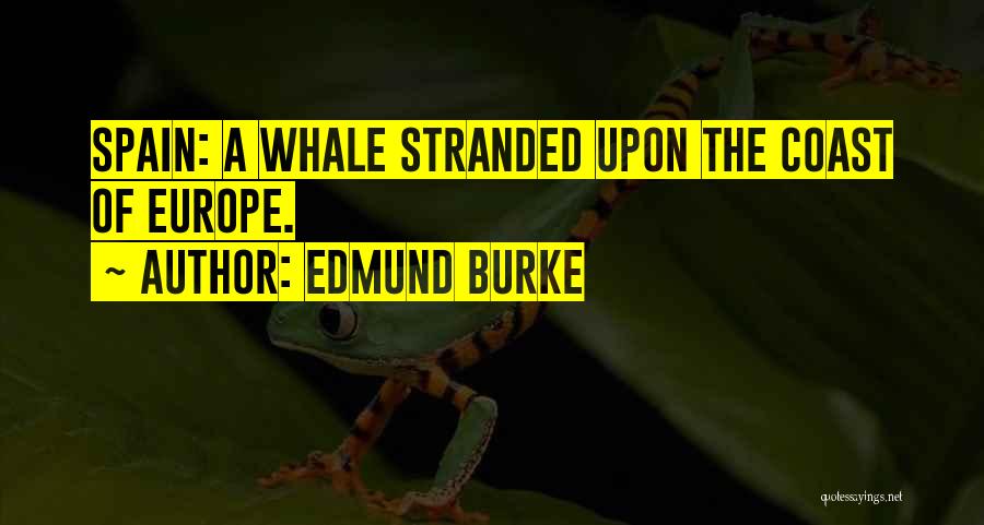 Stranded Quotes By Edmund Burke