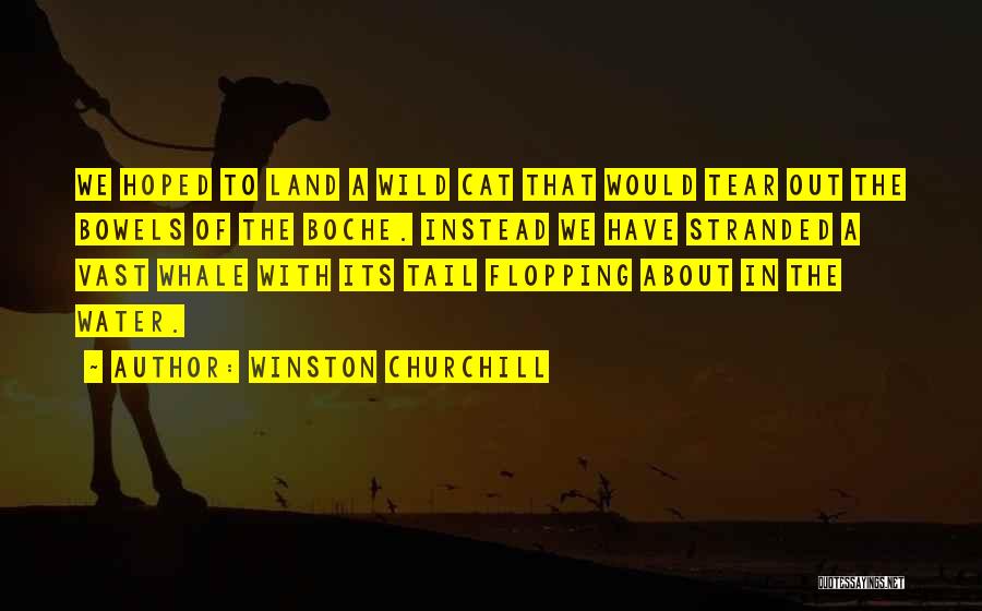 Stranded Quotes By Winston Churchill
