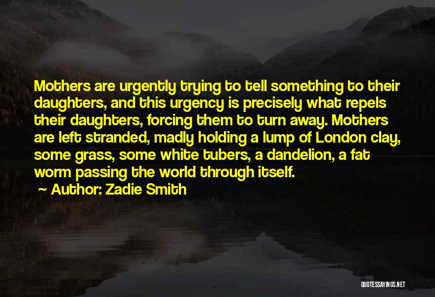 Stranded Quotes By Zadie Smith