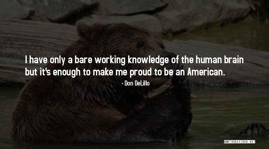 Strandemo Sports Quotes By Don DeLillo Strandemo Sports Quotes By Don DeLillo
