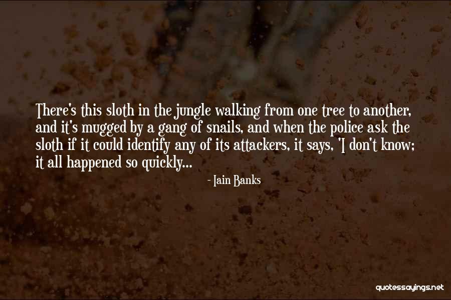 Stranden Mallorca Quotes By Iain Banks Stranden Mallorca Quotes By Iain Banks