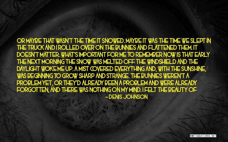 Strange Beauty Quotes By Denis Johnson Strange Beauty Quotes By Denis Johnson