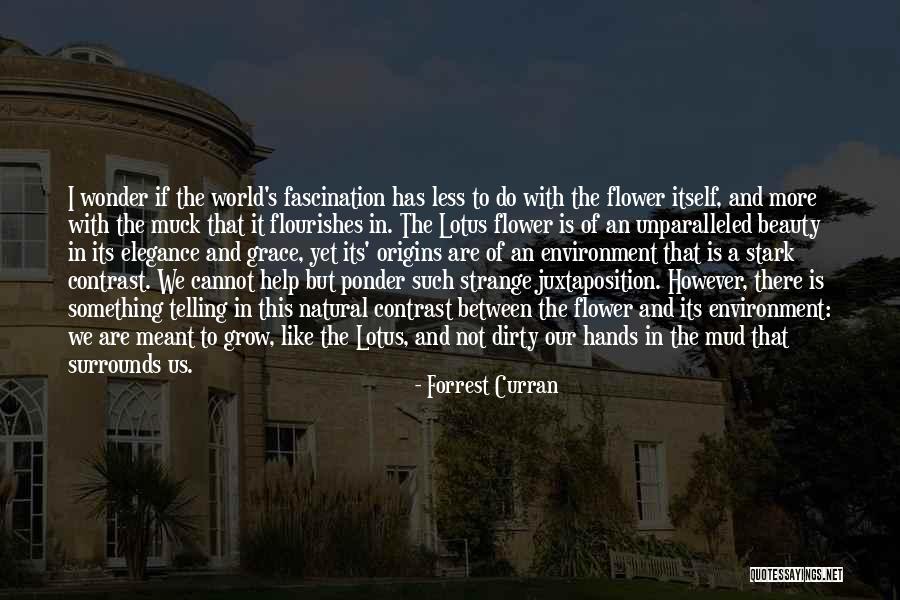 Strange Beauty Quotes By Forrest Curran Strange Beauty Quotes By Forrest Curran