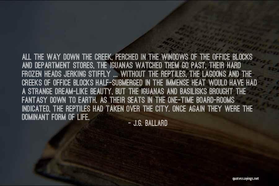 Strange Beauty Quotes By J.G. Ballard