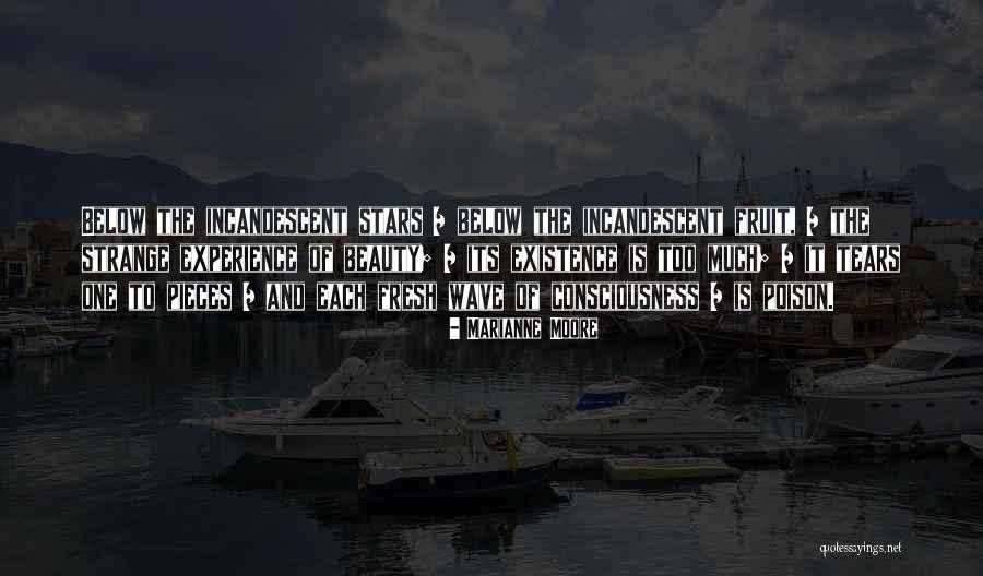 Strange Beauty Quotes By Marianne Moore Strange Beauty Quotes By Marianne Moore