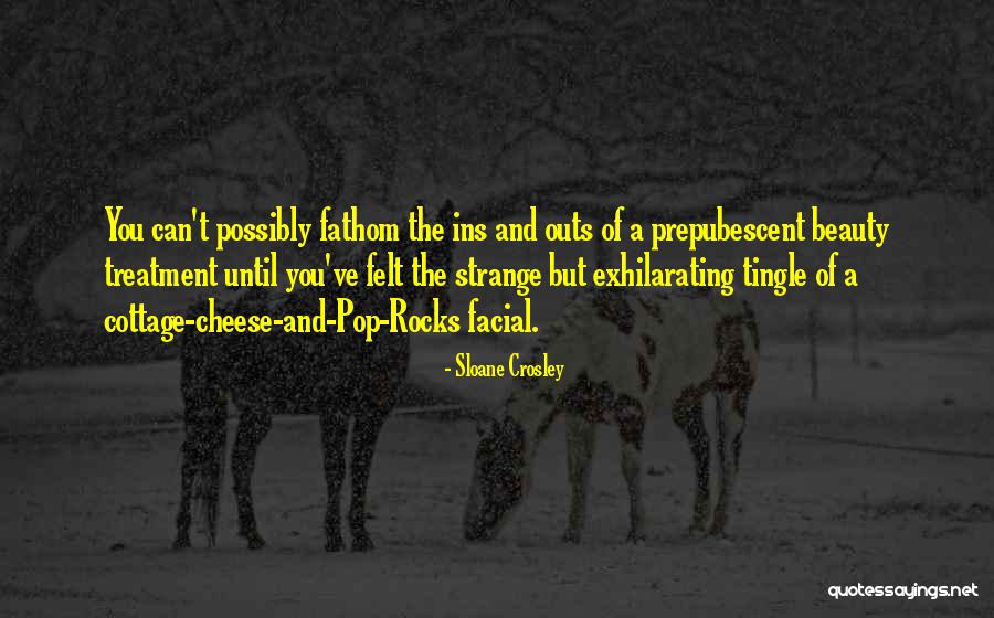 Strange Beauty Quotes By Sloane Crosley Strange Beauty Quotes By Sloane Crosley