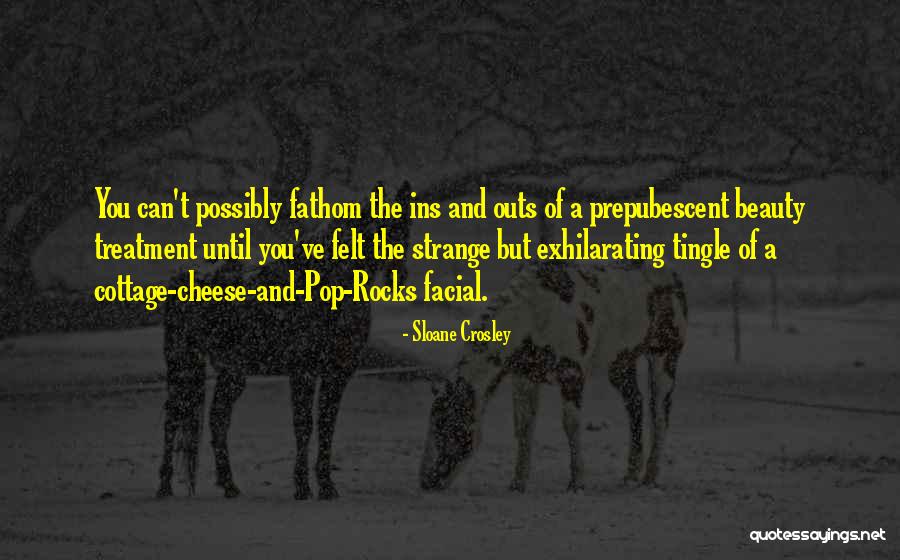 Strange Beauty Quotes By Sloane Crosley